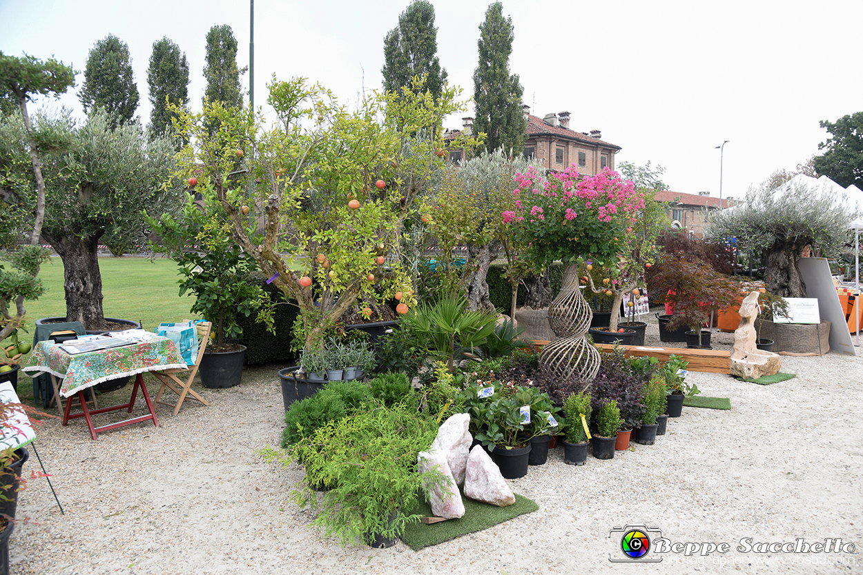 VBS_3444 - Floreal 2023 - Vivere con le piante.jpg